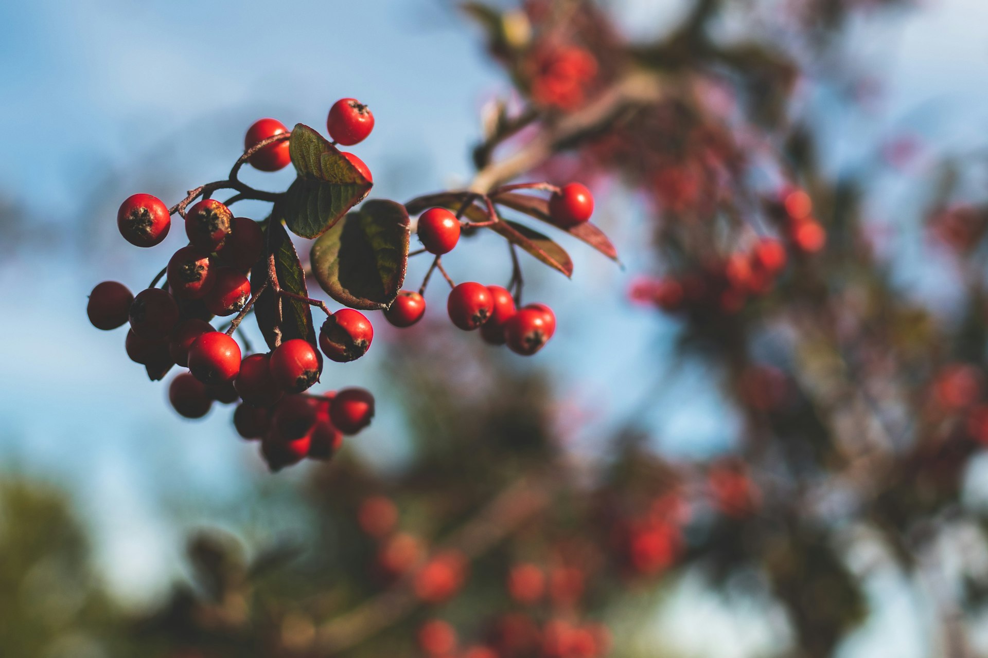 Comprehensive All-Natural Strategies for Managing Seasonal Mood Swings