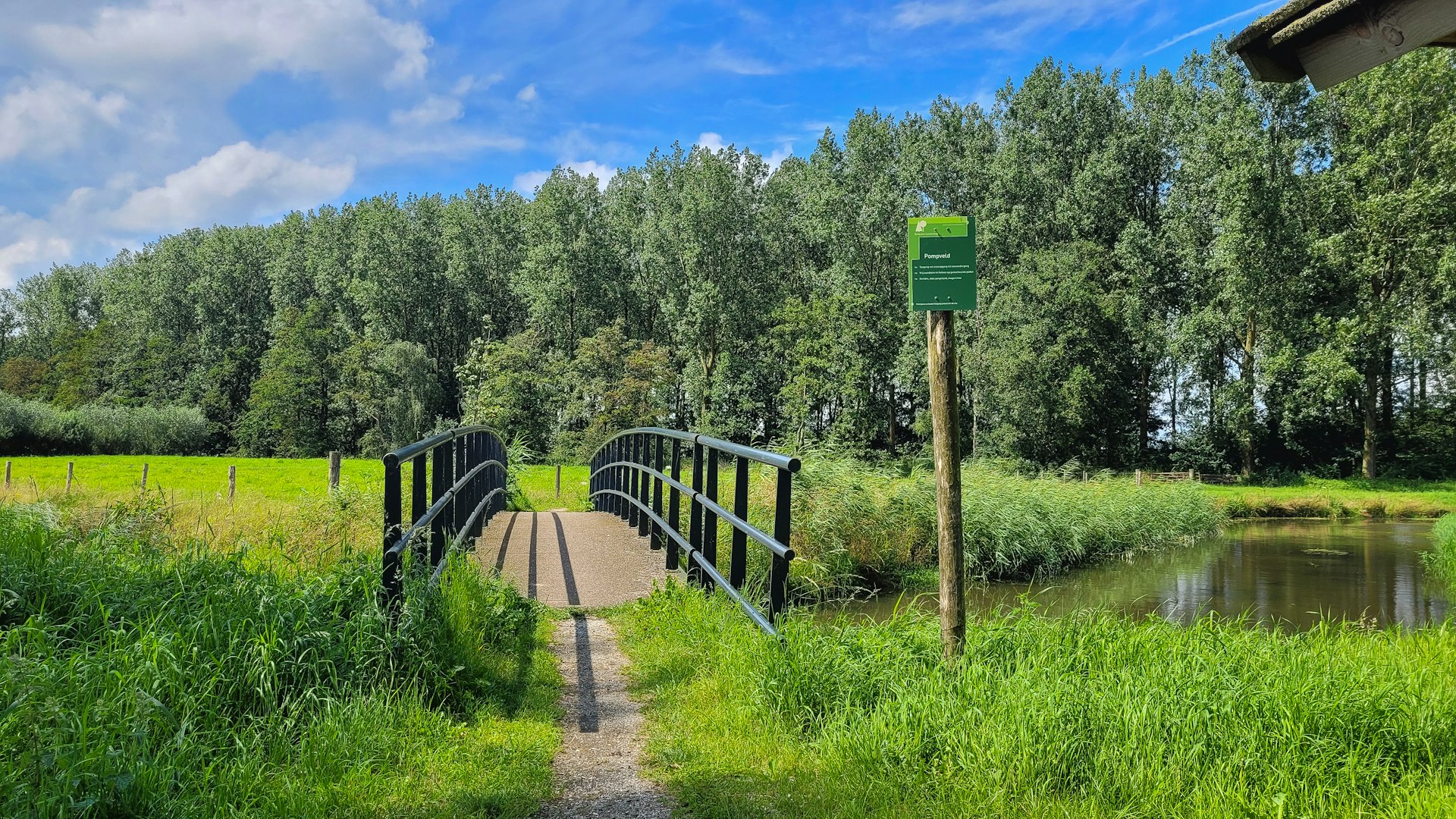 Wildlife Corridors: Ensuring Habitat Connectivity for a Thriving Natural World