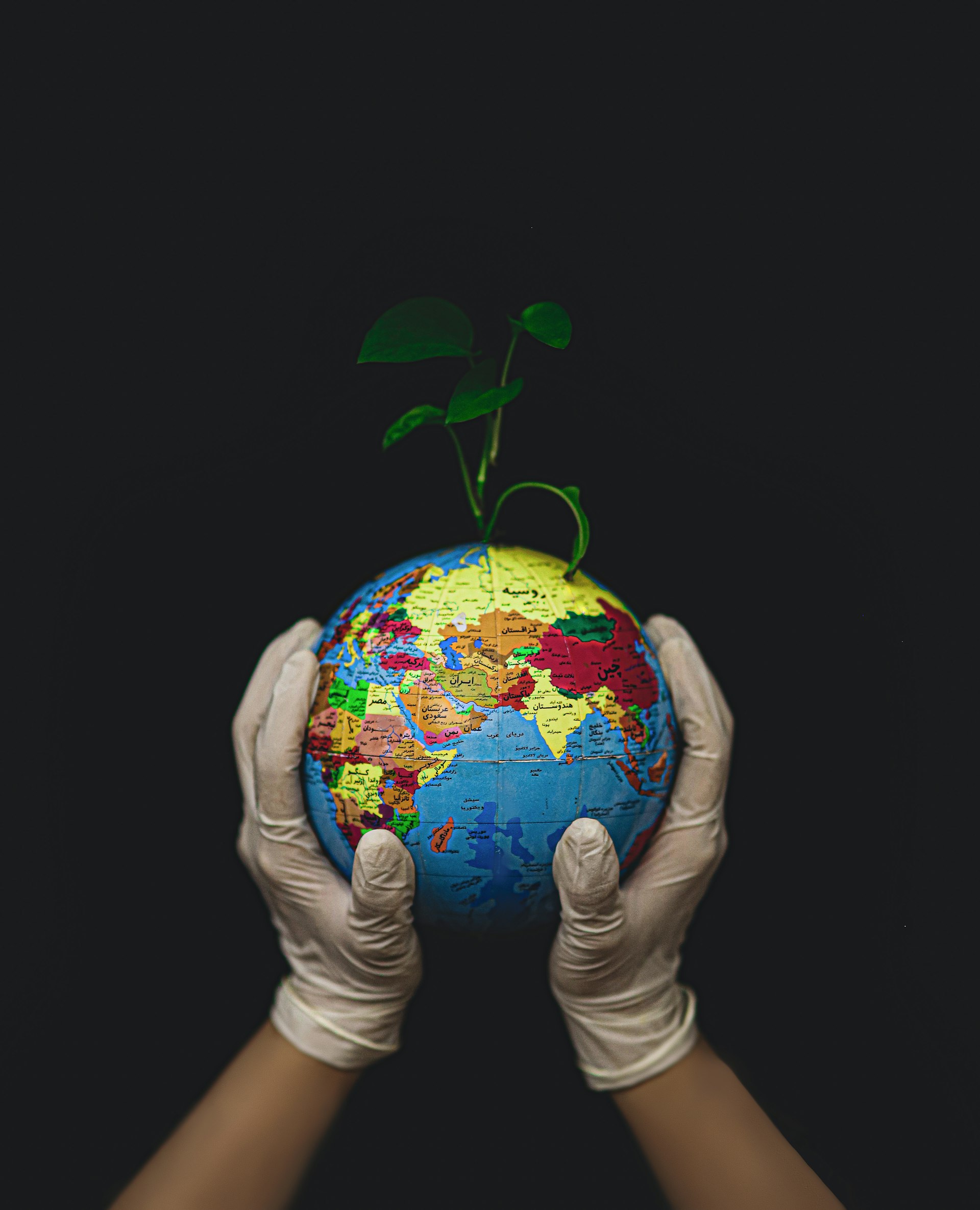 Corporate Responsibility: Leading the Way in Environmental Sustainability for 2025