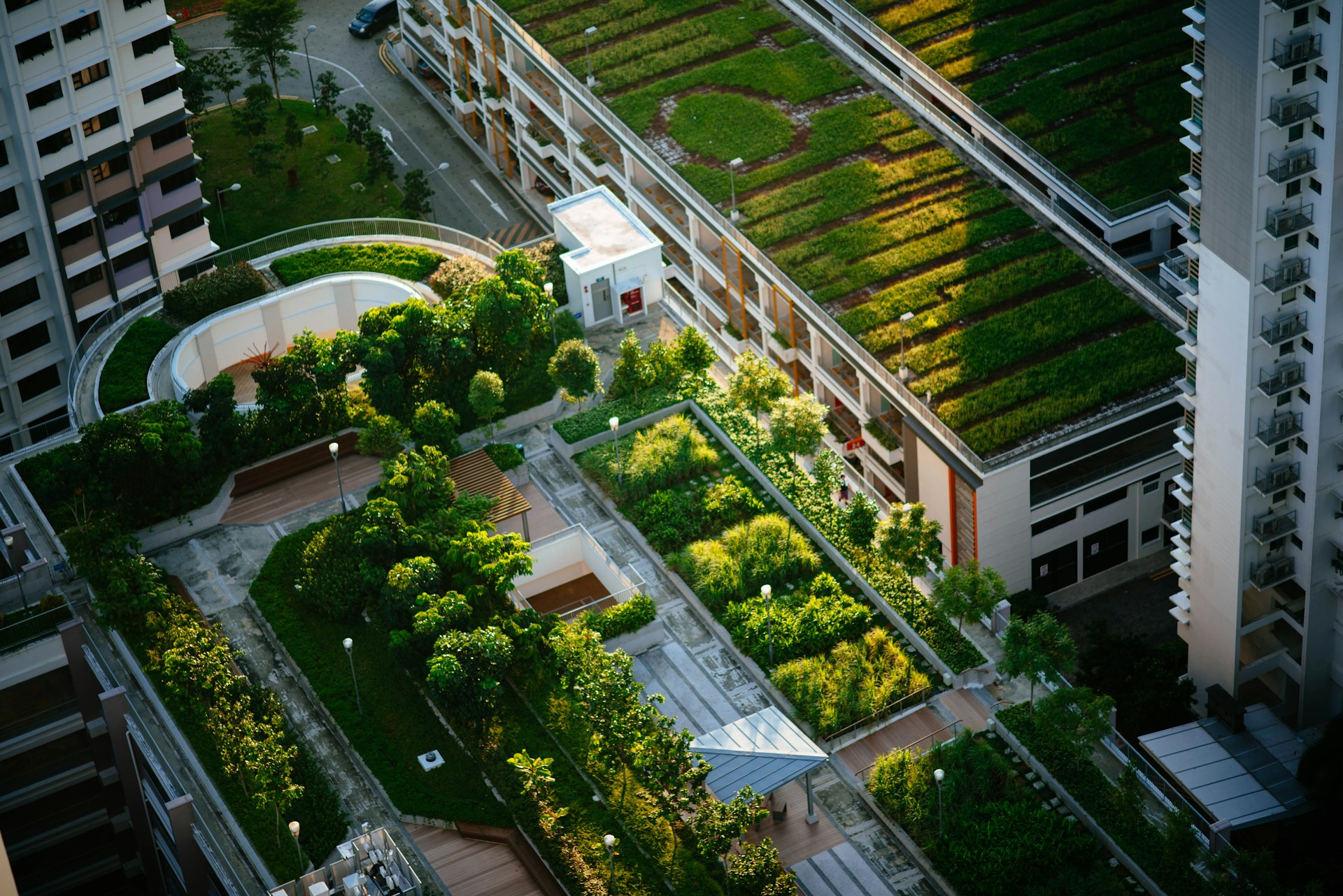 Unlocking the Value of Green Roofs in Urban Housing Projects