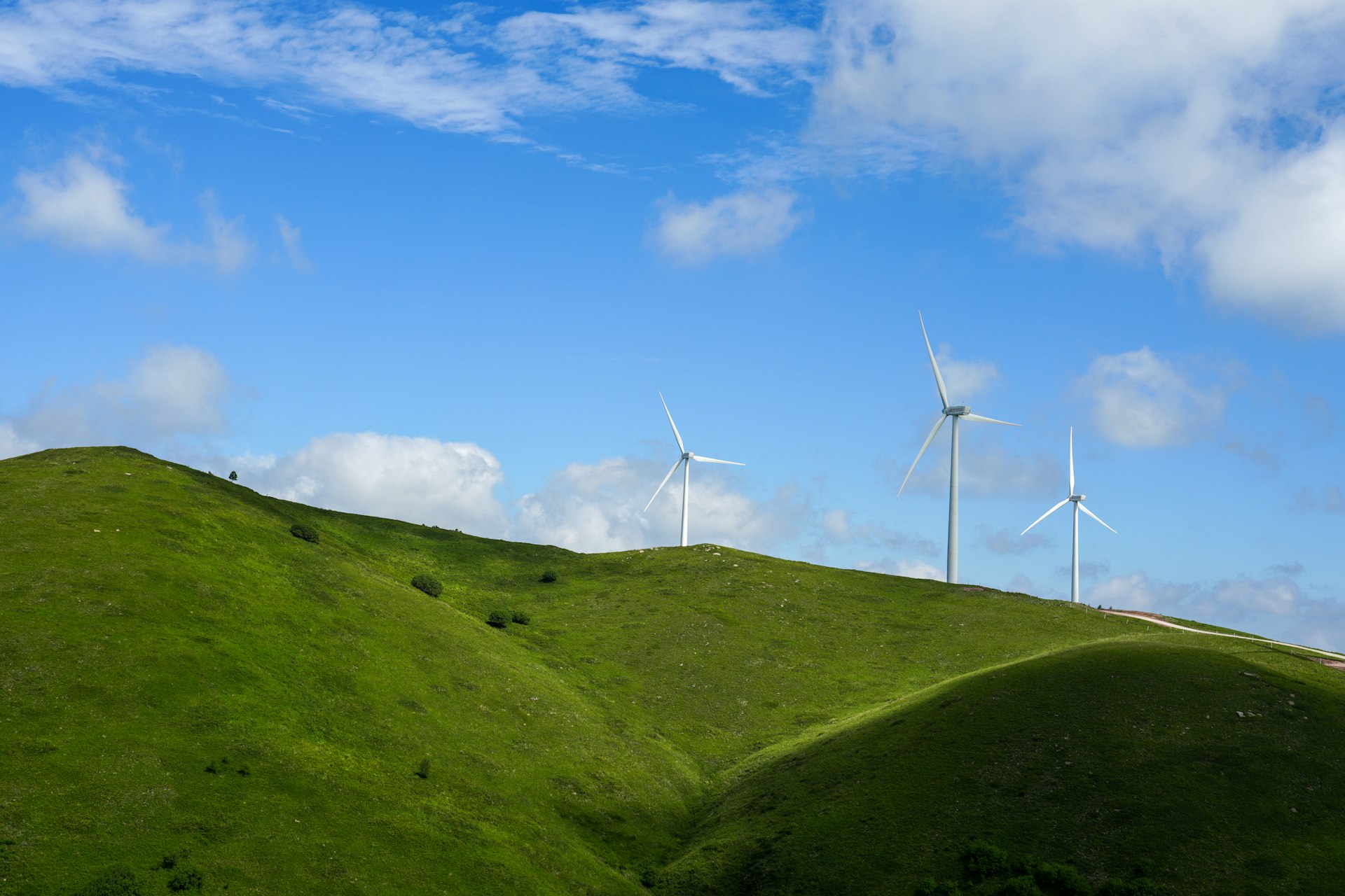 How Sustainable Technology Drives the Future of Green Energy